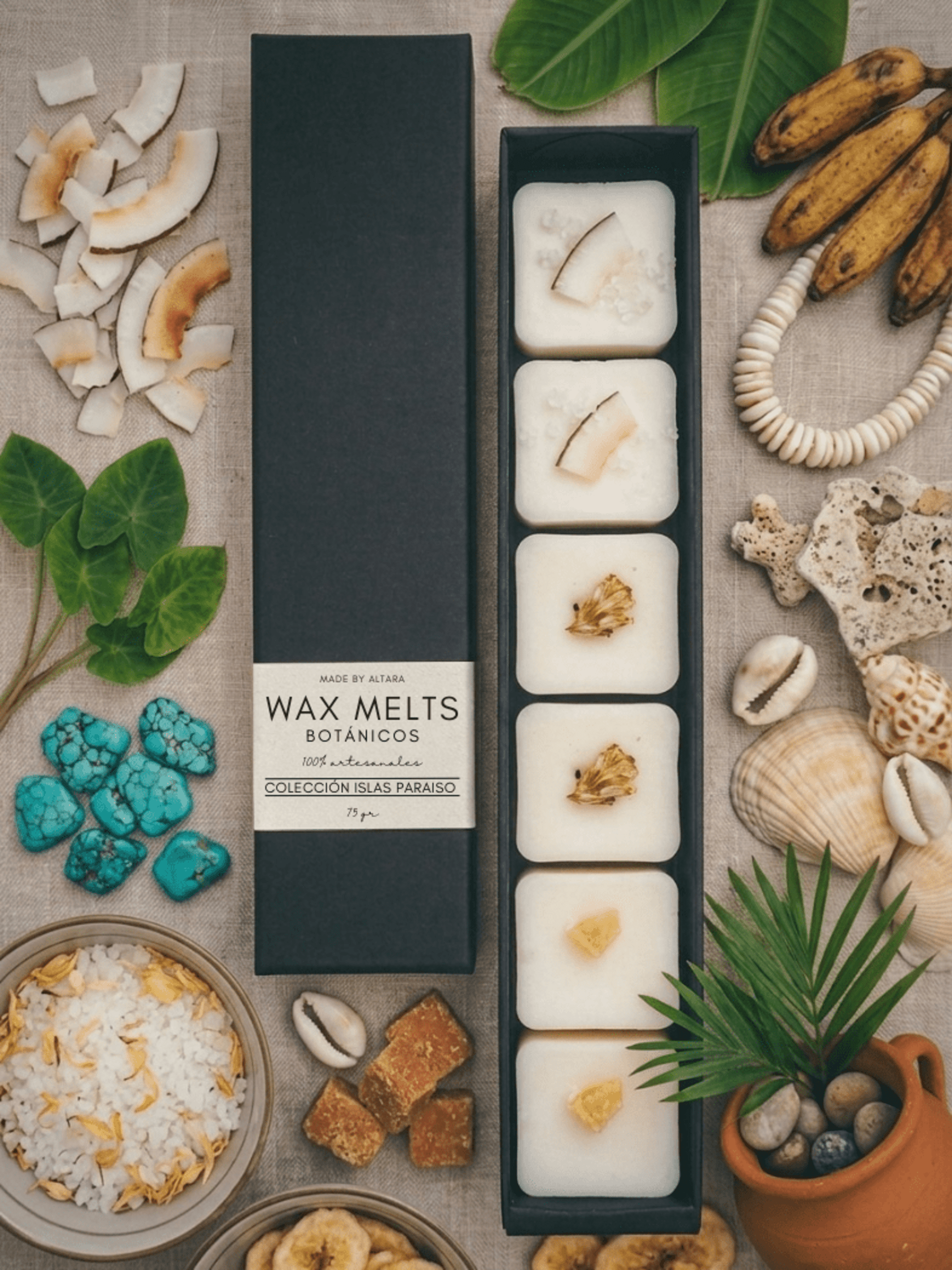Pack Quemador + Wax melts - 4