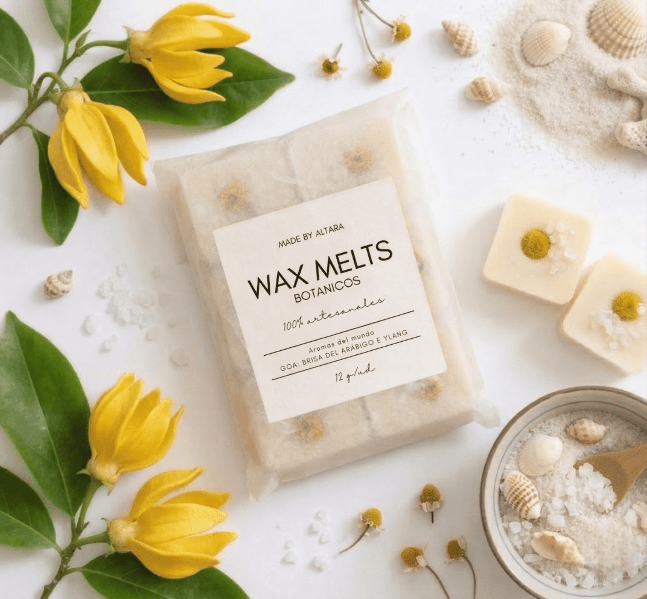 Goa: Brisa del Arábigo e Ylang - 1