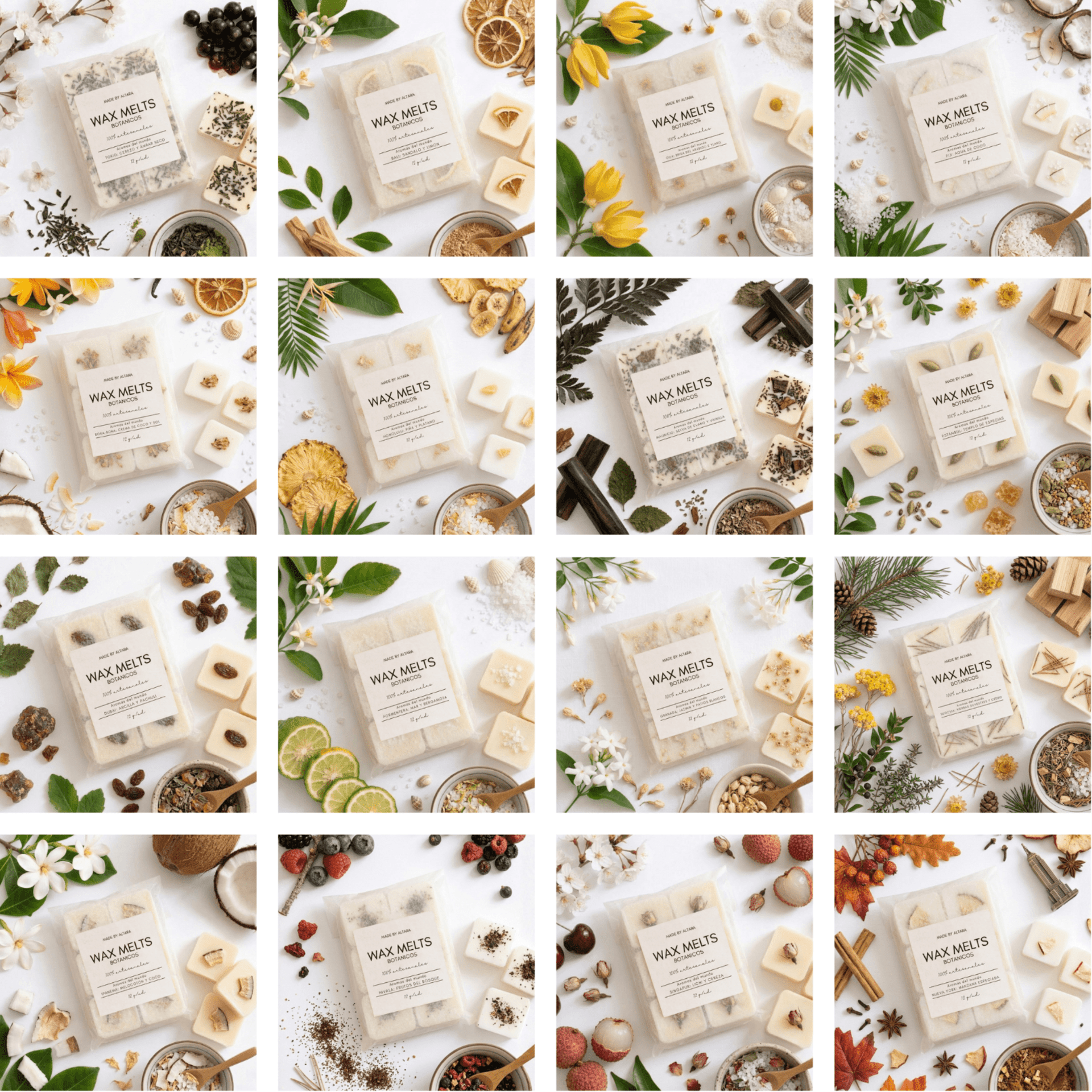 Colección: Pack descubrimiento - 1